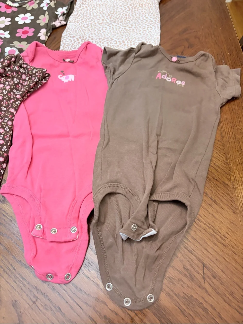 Carter's Girls' One-Piece Bodysuits - Pink, Brown, Green & Floral